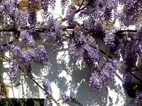 P1020115.webp P1020115.webp