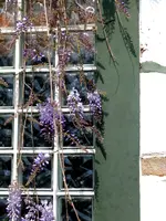 P1020116.webp P1020116.webp