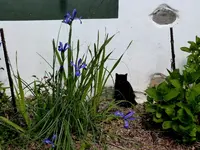 P1020118.webp P1020118.webp