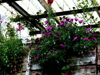 P1020124.webp P1020124.webp