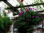 P1020124.JPG