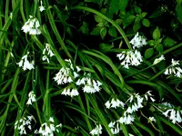 P1020121.webp P1020121.webp