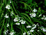 P1020121.JPG