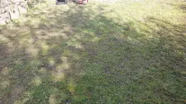 20200327_130407.webp