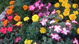 DSC_0844 (4).webp