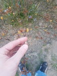 20200327_184358.jpg