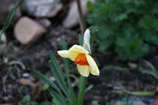 comp_DSC08761.webp