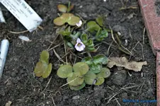 comp_DSC08763.webp