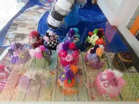 IMG_3142 v (2).JPG