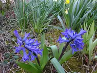 DSC00876.webp