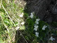 DSC00878.webp