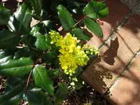 DSC00880.webp