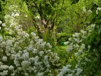 2018-05-10 Sonnenstunden 062.webp