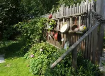 2017-08-24 Herbstbeginn 134.webp
