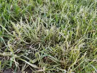 IMG_20200327_133854 (Groß).webp