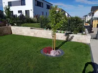 20190509_084541.webp