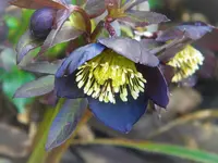 DSCN0125.webp