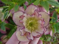 DSC03222.webp