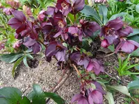 DSC03220.webp