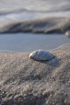 DSC_0855.JPG