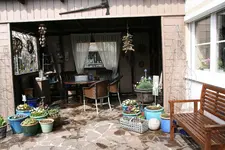 Vorher  0620.webp
