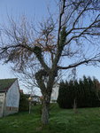 DSC02772.JPG