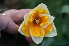 comp_DSC08772.webp