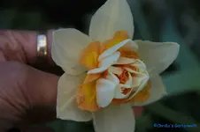 comp_DSC08773.webp