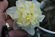 comp_DSC08774.webp