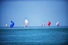 ertdfge4t.webp