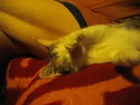 IMGP8778.webp