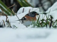 DSCF3459 (2).webp