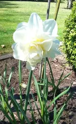 H-G20190422_142022.webp