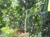 SAM11314.webp