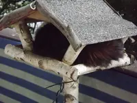 DSCF2348.webp