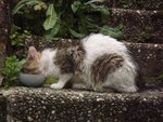 DSCF2582.JPG