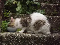 DSCF2582.webp
