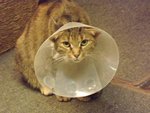 DSCF2633.JPG
