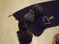 DSCF2636.webp