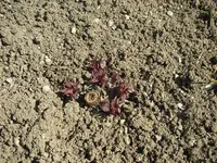 01_04_2020 (17).webp