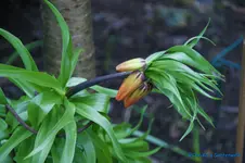 comp_DSC08784.webp