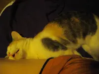 IMGP8785.webp