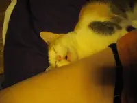 IMGP8783.webp