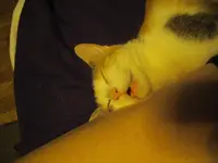 IMGP8784.webp