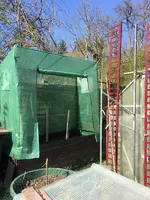 Tomatenhaus.webp