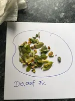 Bonsai 4.jpg