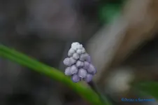 comp_DSC08791.jpg