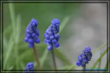 comp_DSC03157.jpg