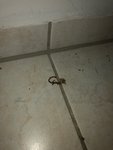 IMG_3008.jpeg