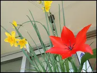 c041.webp